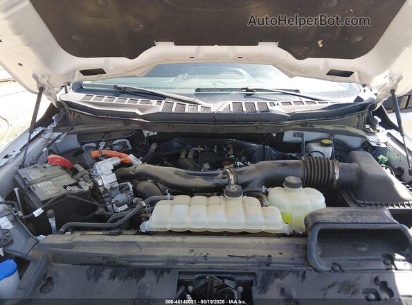 1FTFW3LD9RFA26194 2024 FORD F150 Silver Widok z tyłu