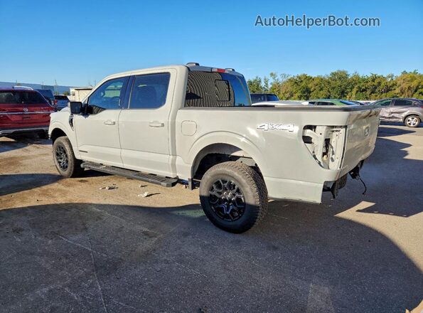 1FTFW3LD9RFA87383 2024 FORD F150 Белый Задняя левая четверть