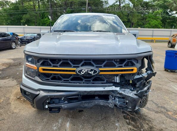1FTFW4L54SFB32752 2025 FORD F150 Gray Widok z przodu