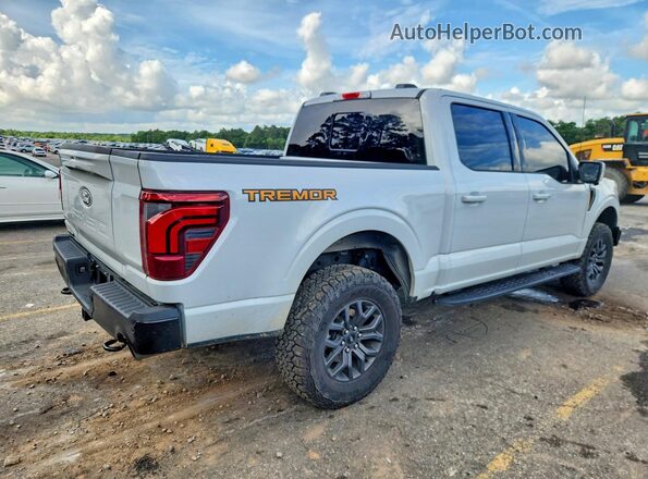 1FTFW4L54SFB32752 2025 FORD F150 Gray Tył prawy