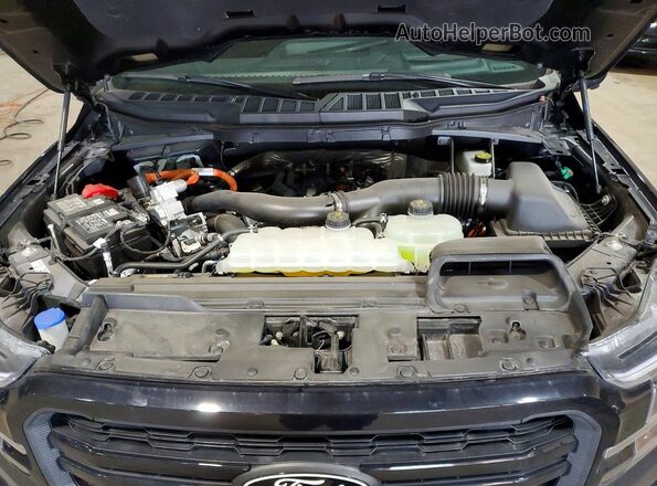 1FTFW5LD3SFA10039 2025 FORD F150 Синий Вид задней части салона