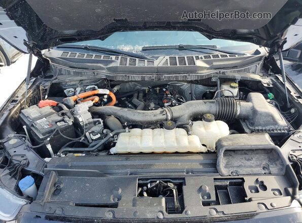 1FTFW5LD4RFB67329 2024 FORD F150 Black Rear interior view