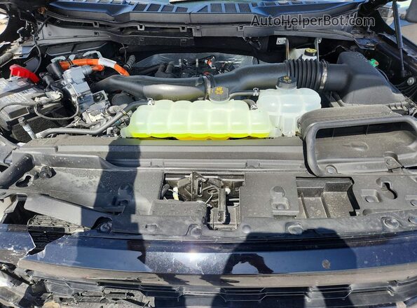 1FTFW5LD7SFC37704 2025 FORD F150 Черный Вид задней части салона