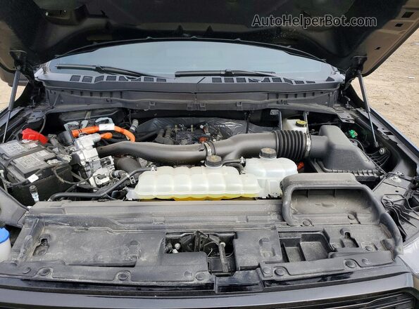 1FTFW7LD3SFB32105 2025 FORD F150 Черный Вид задней части салона