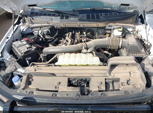 1FTFX1L86RKF04146 2024 FORD F150 Белый Вид сзади