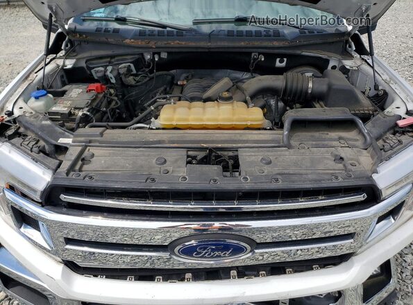 1FTMF1C56KKD08018 2019 FORD F150 White Rear interior view