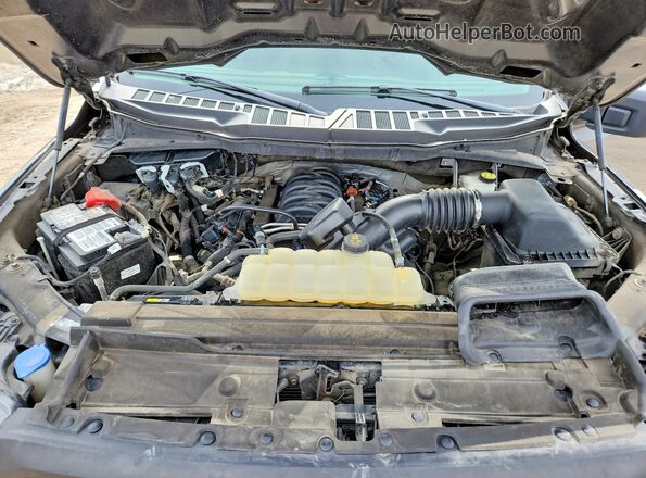 1FTMF1C59PKE73679 2023 FORD F150 Серый Вид задней части салона