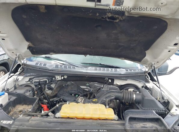 1FTMF1C82GKD08230 2016 FORD F150 Белый Вид сзади
