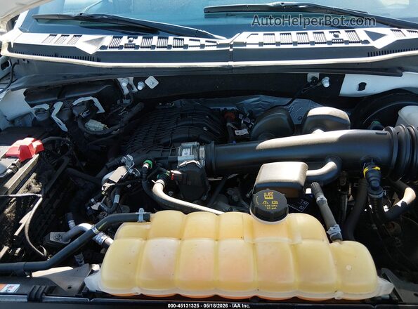 1FTMF1CB1LKD22450 2020 FORD F150 Белый Вид сзади