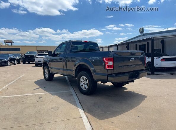 1FTMF1CB7LKE59067 2020 FORD F150 Gray Tył prawy