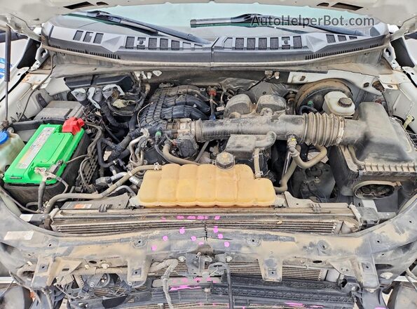 1FTMF1CBXLKD65443 2020 FORD F150 Белый Вид задней части салона