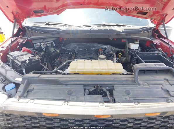 1FTMF1E5XPKD07751 2023 FORD F150 Красный Вид сзади