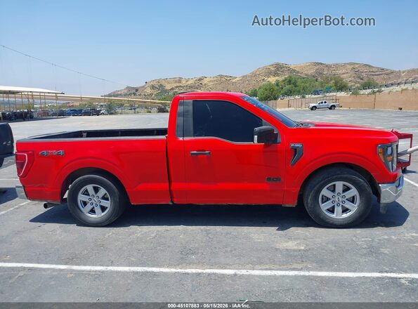 1FTMF1E5XPKD07751 2023 FORD F150 Красный Вид задней части салона