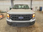 2023 Ford F150 White vin: 1FTMF1EB1PKF83984