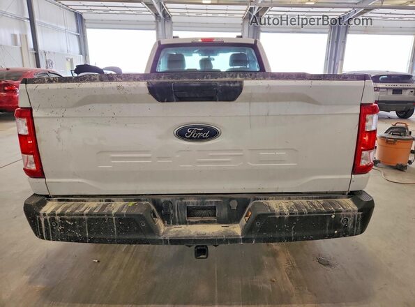 1FTMF1EB1PKF83984 2023 FORD F150 White Вид ззаду