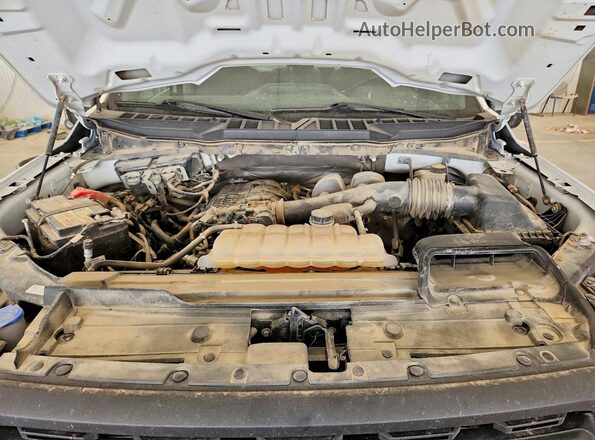 1FTMF1EB1PKF83984 2023 FORD F150 White Вид задньої частини салону