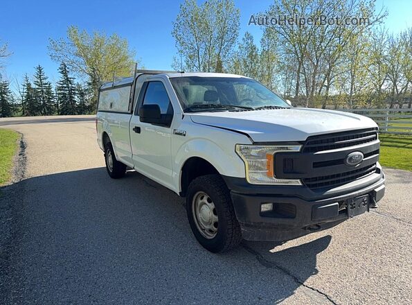 1FTMF1EB7JKD39070 2018 FORD F150 Белый Передняя левая четверть