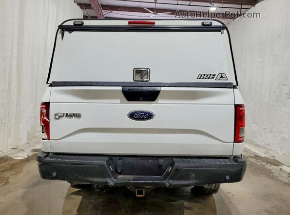 1FTMF1EP5GFB56571 2016 FORD F150 Белый Вид сзади