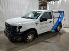 2016 Ford F150 Белый vin: 1FTMF1EP5GFB56571 Damage: Left Front Fender, Severe Damage, Replacement Required