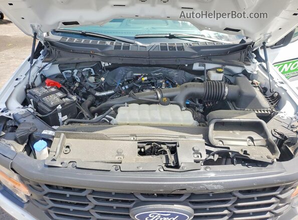 1FTMF1KP4RKF52392 2024 FORD F150 White Սալոնի հետևի տեսք