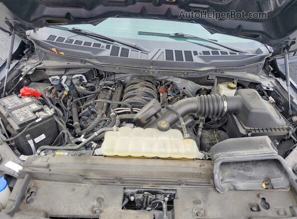 1FTMF1L59RKD74587 2024 FORD F150 Синий Вид задней части салона