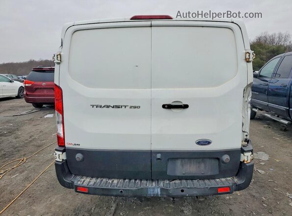 1FTYR2ZM5KKB09894 2019 FORD TRANSIT Белый Вид сзади