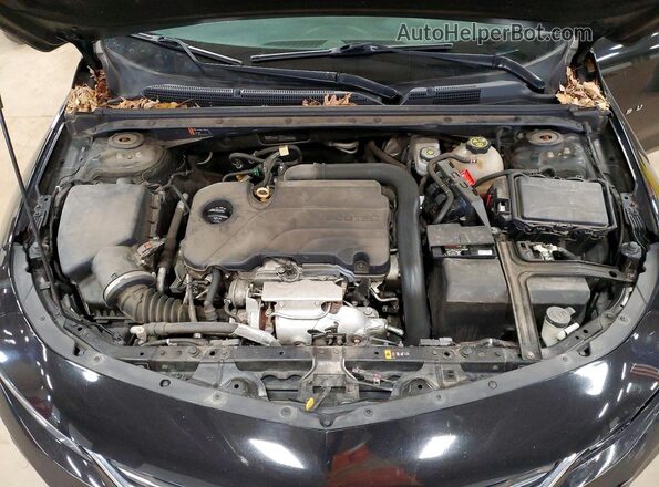 1G1ZB5ST7JF264622 2018 CHEVROLET MALIBU Черный Вид задней части салона