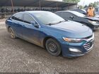 2019 Chevrolet Malibu 1fl Blue vin: 1G1ZC5ST1KF138285
