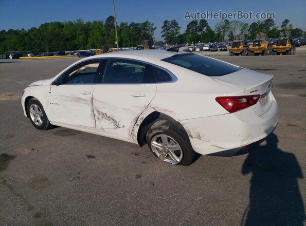 1G1ZC5ST3PF170551 2023 CHEVROLET MALIBU Белый Задняя левая четверть