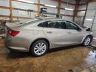 2024 Chevrolet Malibu Lt Cream vin: 1G1ZD5ST2RF122359