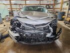 2024 Chevrolet Malibu Lt Cream vin: 1G1ZD5ST2RF122359