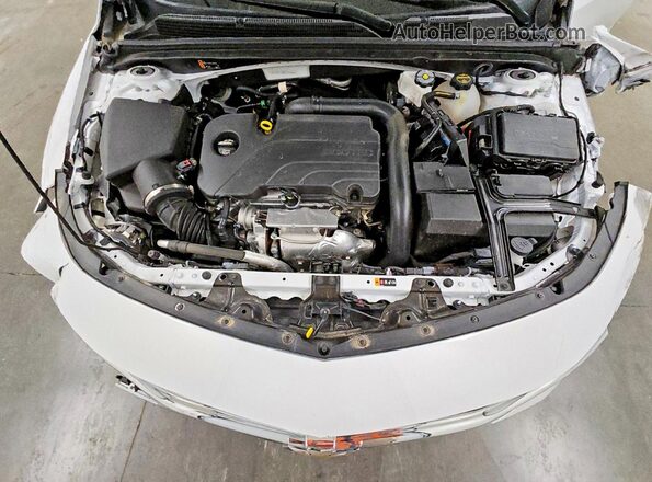 1G1ZD5ST3RF234636 2024 CHEVROLET MALIBU Белый Вид задней части салона