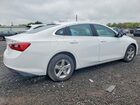2024 Chevrolet Malibu Lt White vin: 1G1ZD5ST4RF126686