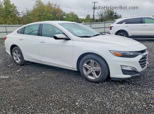1G1ZD5ST4RF126686 2024 CHEVROLET MALIBU White Front right