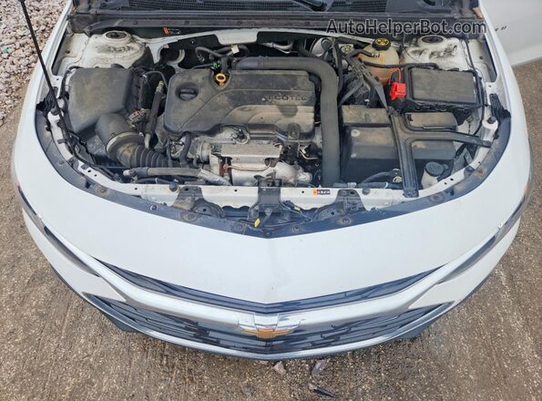 1G1ZD5ST5LF004975 2020 CHEVROLET MALIBU White უკანა სალონის ხედი