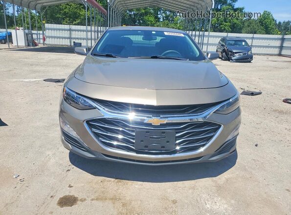 1G1ZD5ST5LF061466 2020 CHEVROLET MALIBU Brown Widok z przodu