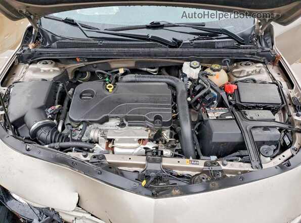 1G1ZD5ST8PF164418 2023 CHEVROLET MALIBU Коричневый Вид задней части салона