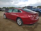 2019 Chevrolet Malibu Lt Красный vin: 1G1ZD5ST9KF145031