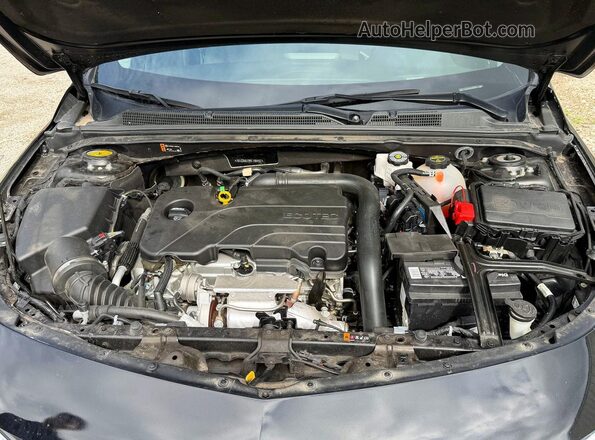 1G1ZD5ST9RF196457 2024 CHEVROLET MALIBU Black Вид салону спереду
