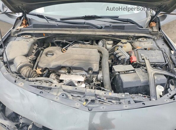 1G1ZE5ST9GF293295 2016 CHEVROLET MALIBU Gray Սալոնի հետևի տեսք