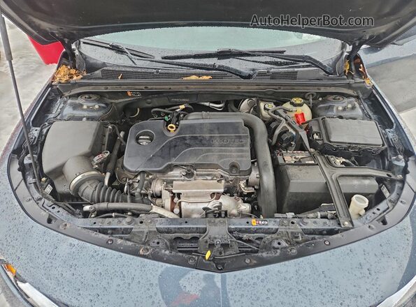 1G1ZG5ST3LF066057 2020 CHEVROLET MALIBU Blue Widok wnętrza z tyłu