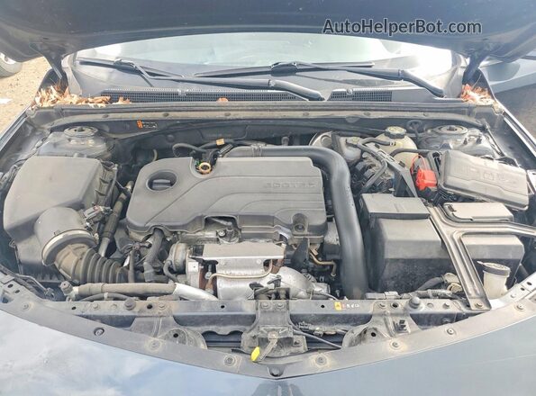 1G1ZG5ST6MF078799 2021 CHEVROLET MALIBU Gray Вид задньої частини салону