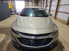 2024 Chevrolet Malibu Rs Tan vin: 1G1ZG5ST9RF112080 2024 Chevrolet Malibu Rs Tan vin: 1G1ZG5ST9RF112080