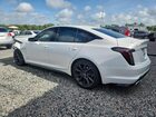 2021 Cadillac Ct5 Sport White vin: 1G6DP5RK6M0115855