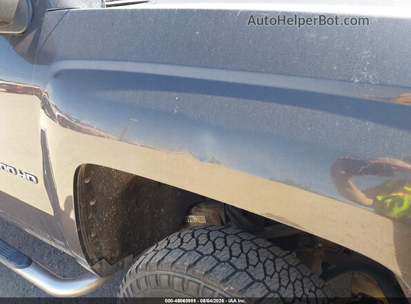 1GC1CUEG6GF180889 2016 CHEVROLET SILVERADO Серый Панорамный вид салона 360°