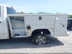 2023 Chevrolet Silverado 2500hd 2wd Long Bed Wt White vin: 1GC2WLE74PF237855 2023 Chevrolet Silverado 2500hd 2wd Long Bed Wt White vin: 1GC2WLE74PF237855