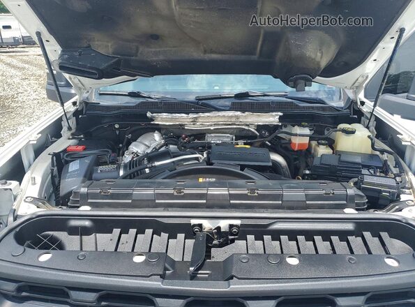 1GC4YLEYXLF100697 2020 CHEVROLET SILVERADO White Вид задньої частини салону