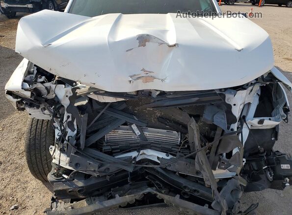 1GCGSBEC5P1255562 2023 CHEVROLET COLORADO Белый Вид задней части салона