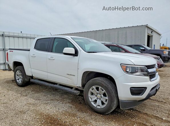 1GCGTCENXK1104729 2019 CHEVROLET COLORADO White Przód prawy