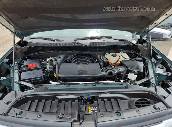 1GCPACED8SZ250366 2025 CHEVROLET SILVERADO Зеленый Вид задней части салона